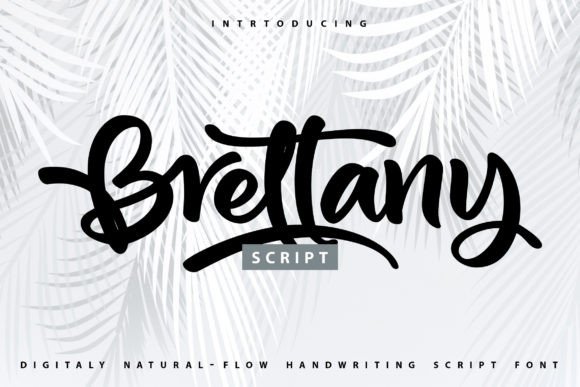 Brettany: A Script Amp Review