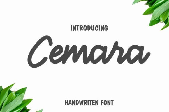 Cemara: A Bold Script Font for Web Design