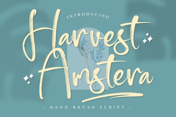 Harvest Amstera: A Font for Business Elegance