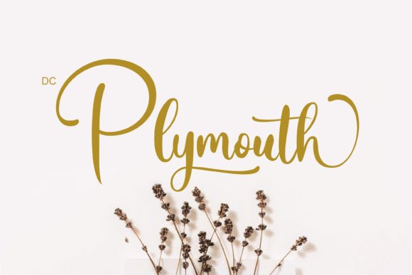 Plymouth: A Romantic Script Font for Web Design